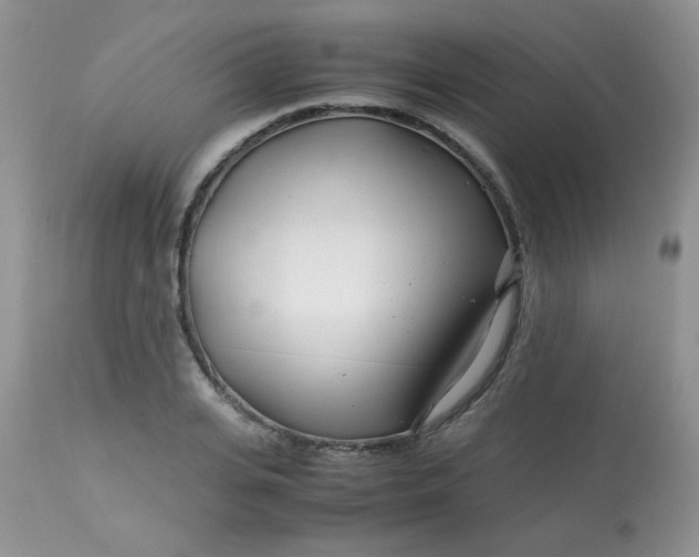 X0000113560935200910091411