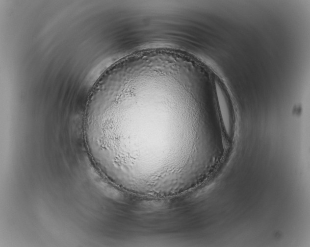 X0000113560937200910091411