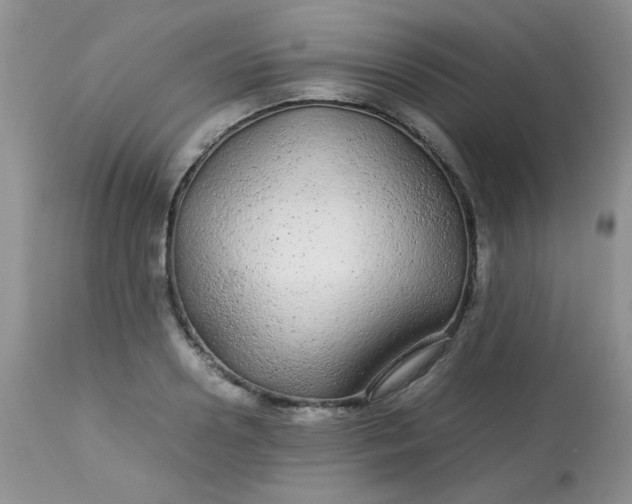 X0000113560938200910091411