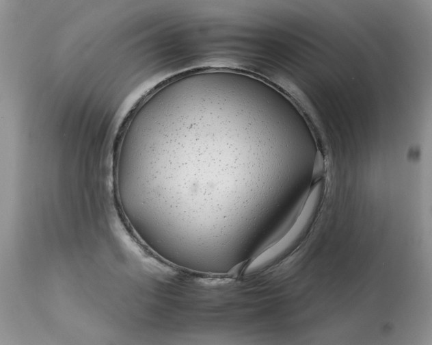 X0000113560939200910091411