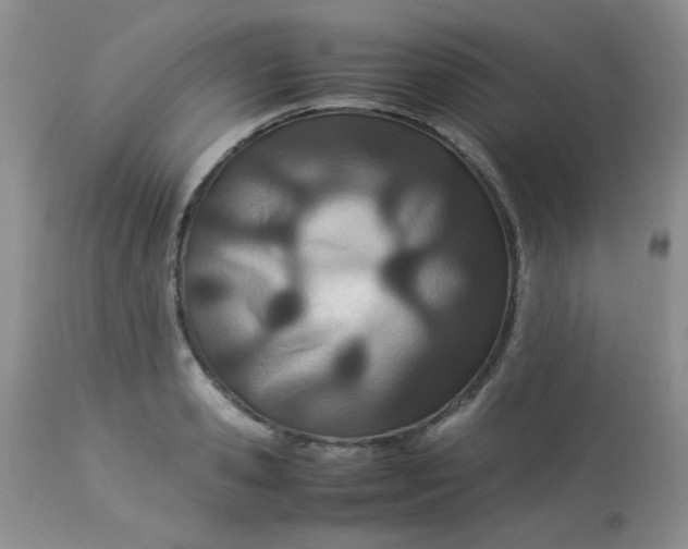 X0000113560941200910091411