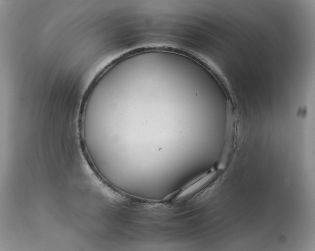 X0000113560943200910091411