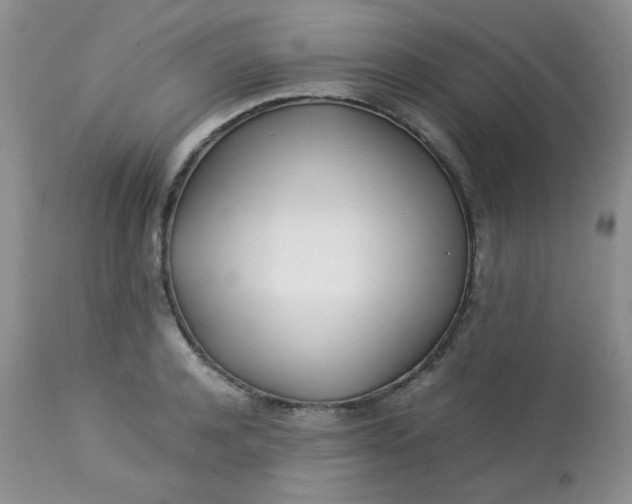 X0000113560944200910091411