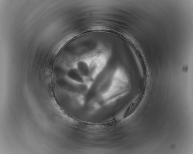 X0000113560945200910091411