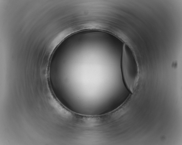 X0000113560946200910091411