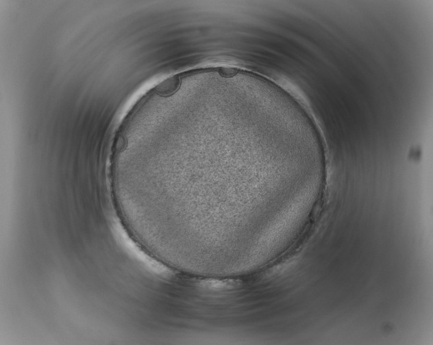 X0000113560947200910091411