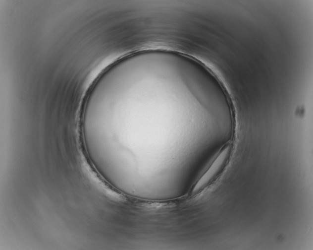 X0000113560949200910091411