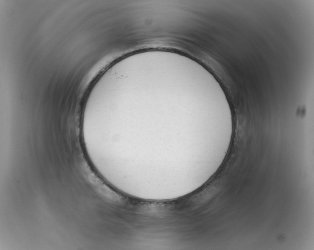 X0000113560950200910091411