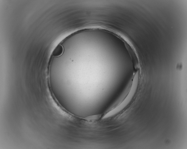 X0000113560951200910091411