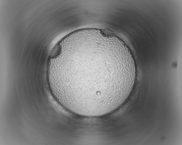 X0000113560952200910091412