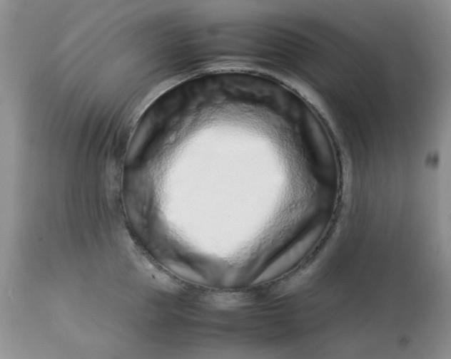 X0000113560953200910091412