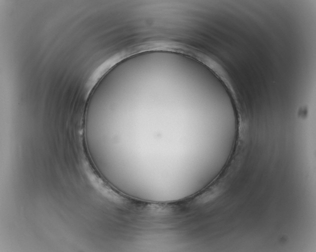 X0000113560954200910091412