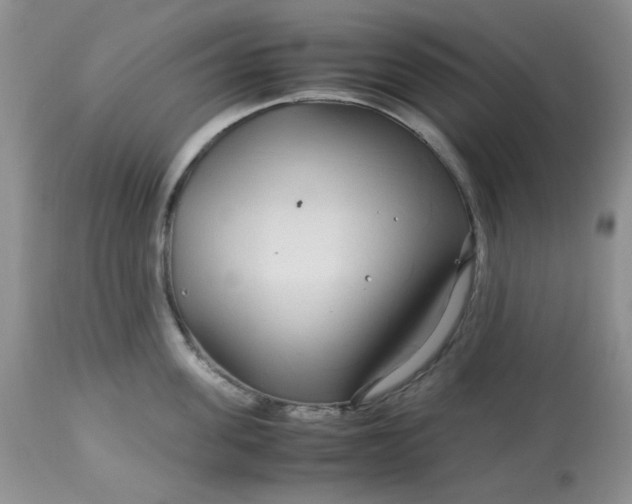 X0000113560955200910091412