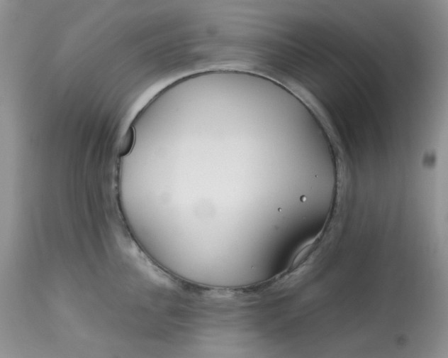 X0000113560956200910091412