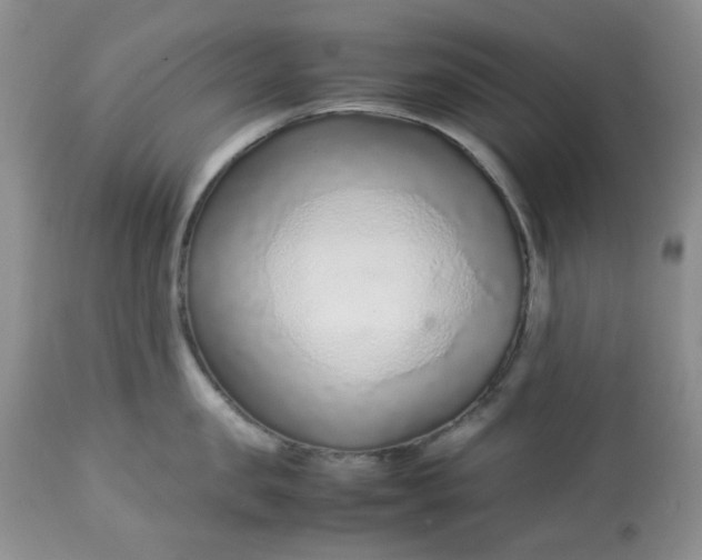 X0000113560957200910091412