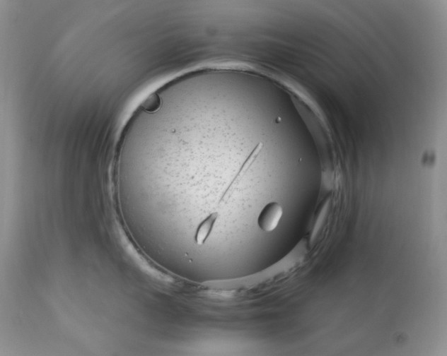 X0000113560959200910091412