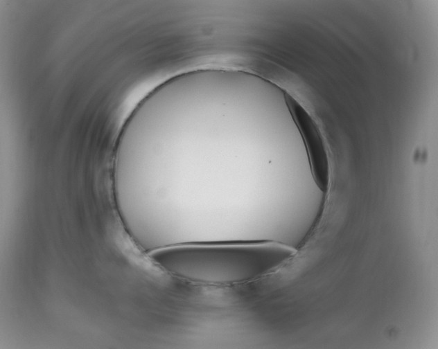 X0000113560960200910091412