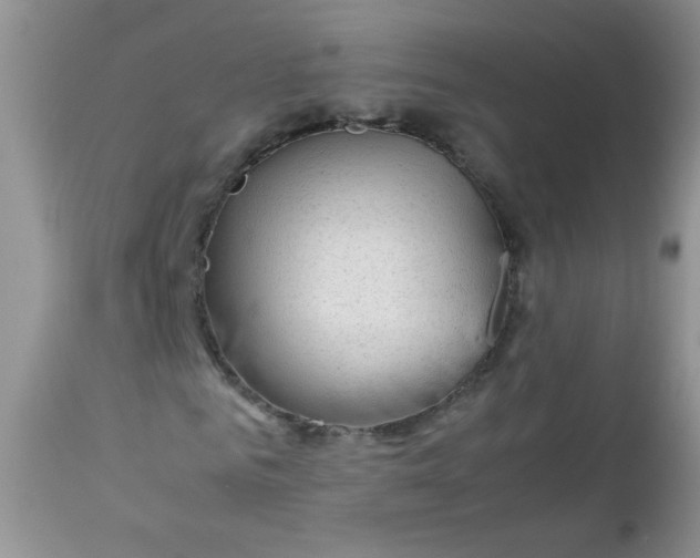 X0000113560961200910091411