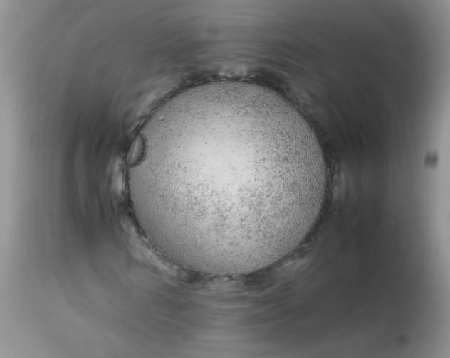 X0000113560962200910091411