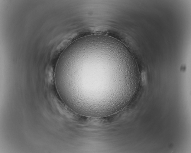 X0000113560963200910091411