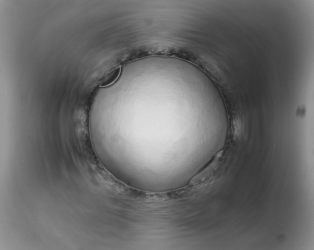 X0000113560964200910091411