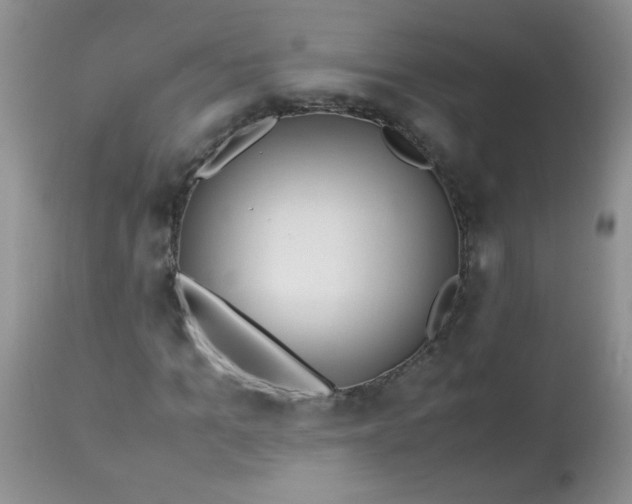 X0000113560965200910091411