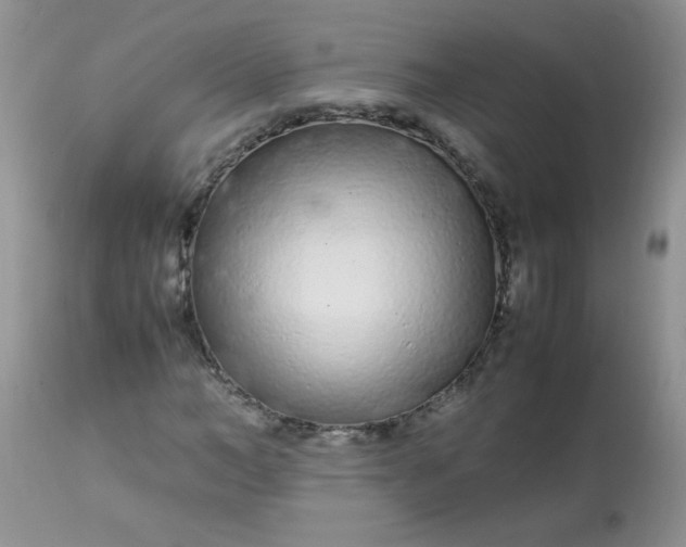 X0000113560966200910091411