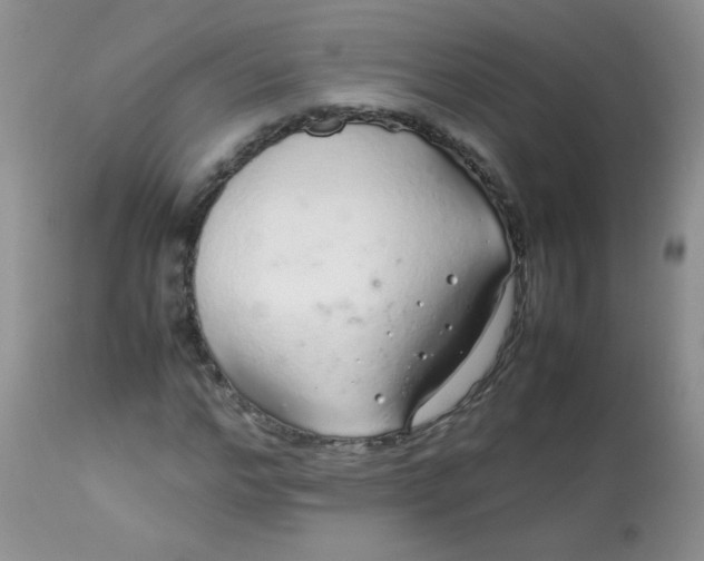 X0000113560968200910091411