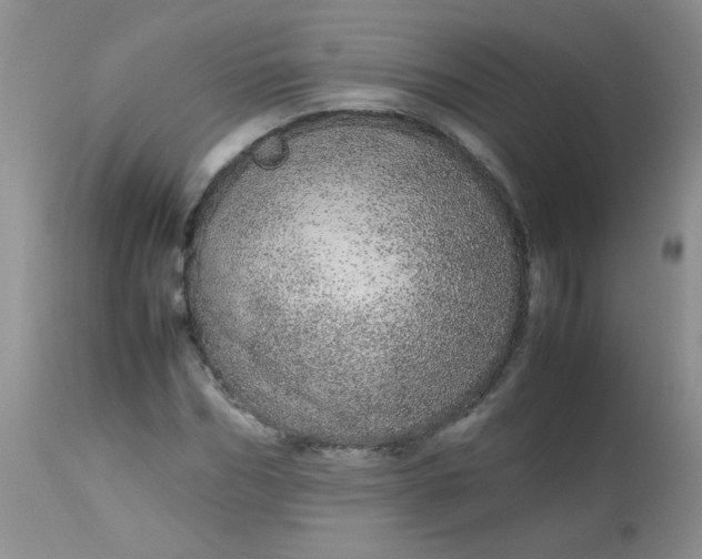 X0000113560970200910091411