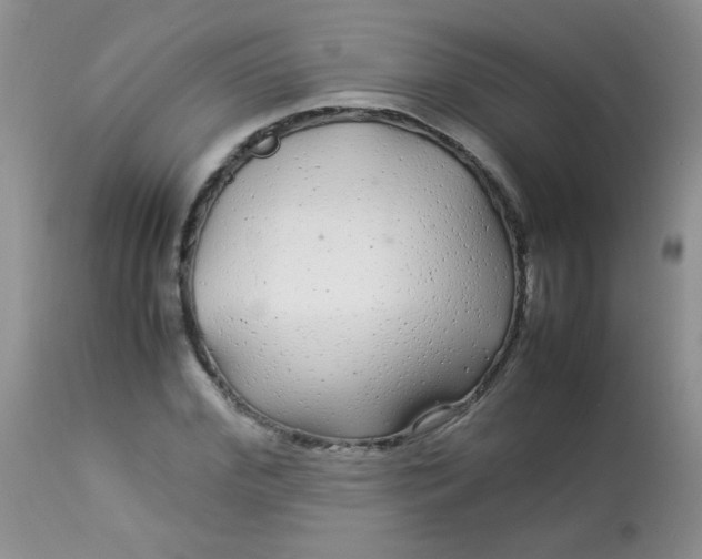 X0000113560972200910091411