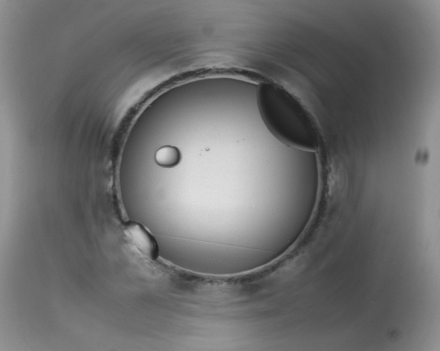 X0000113560973200910091411