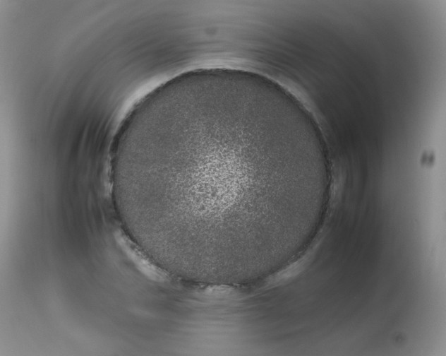 X0000113560974200910091411