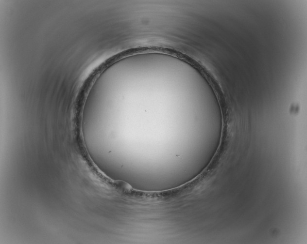 X0000113560975200910091411