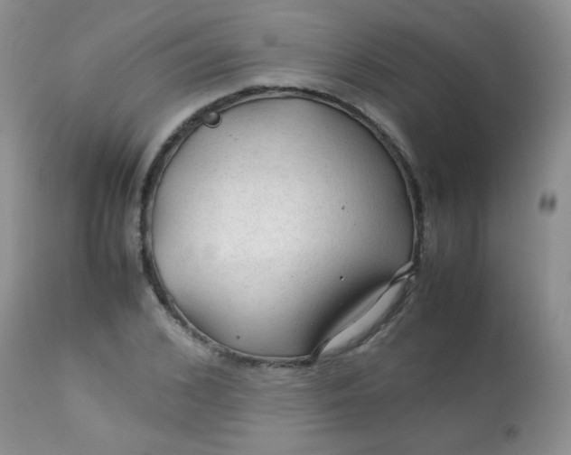 X0000113560976200910091411