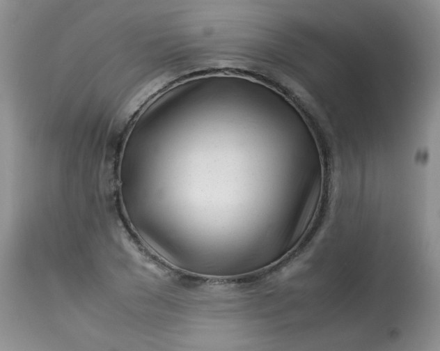 X0000113560977200910091411