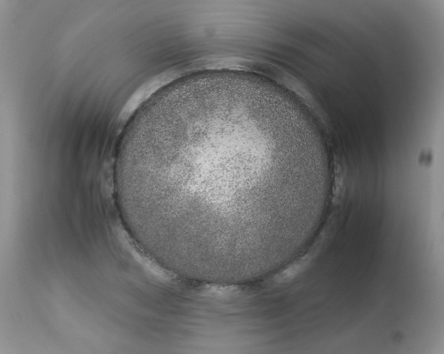 X0000113560978200910091411