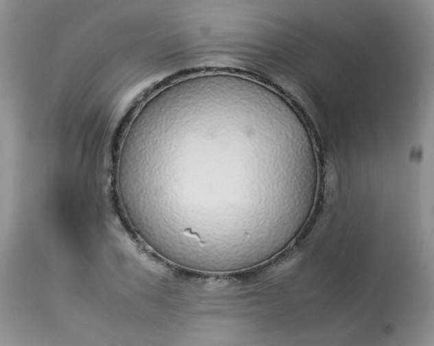 X0000113560979200910091411