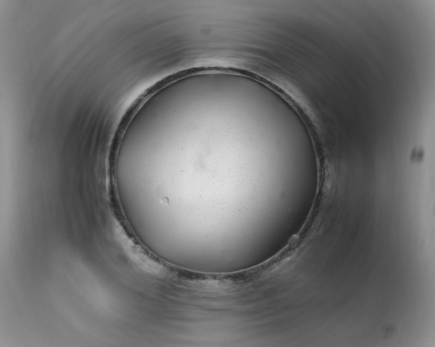 X0000113560980200910091411