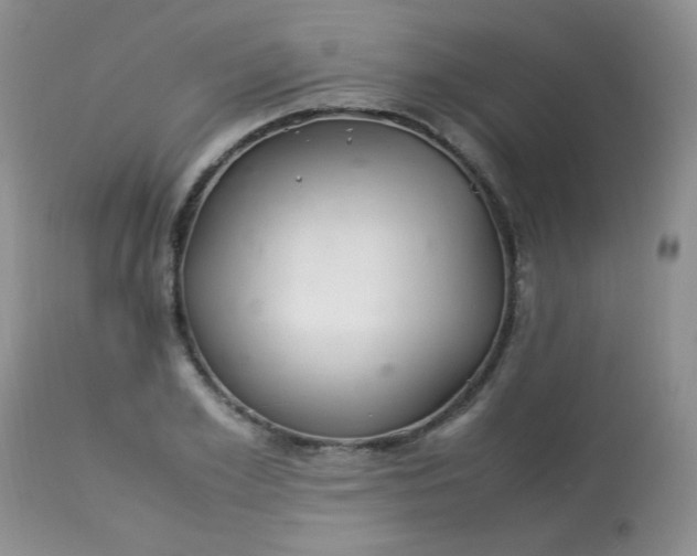 X0000113560981200910091411