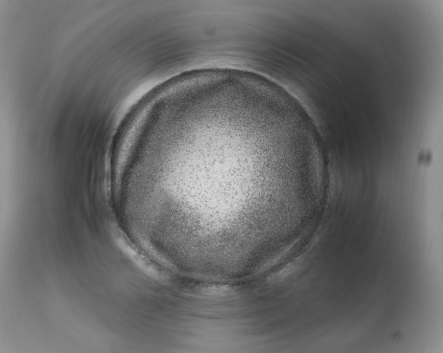 X0000113560982200910091411