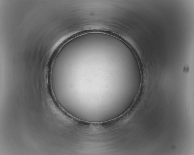 X0000113560983200910091411