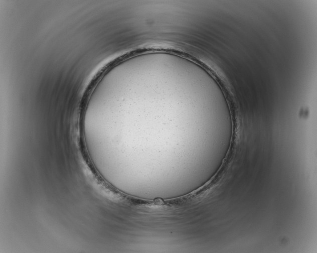 X0000113560984200910091411