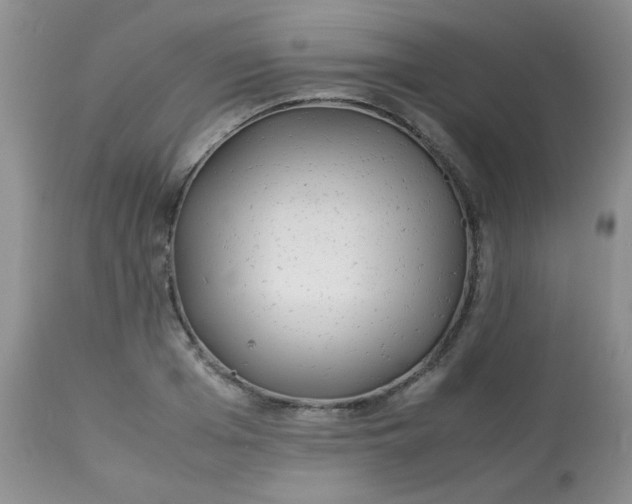 X0000113560985200910091411