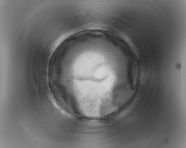 X0000113560986200910091411