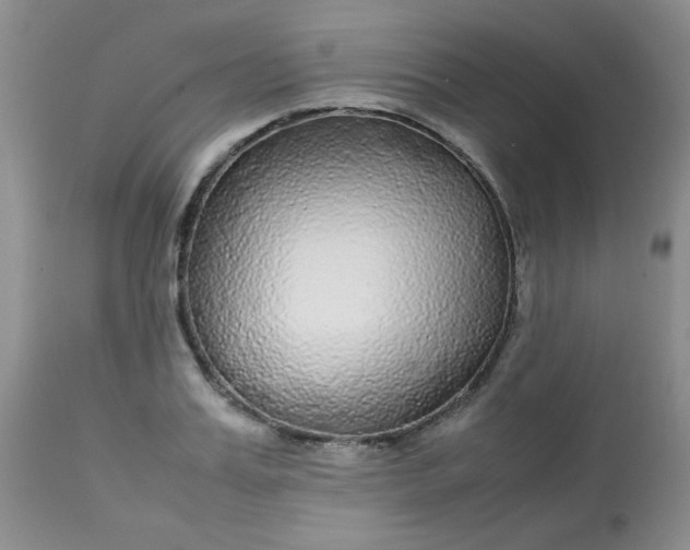 X0000113560987200910091411