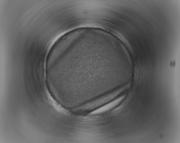 X0000113560988200910091411