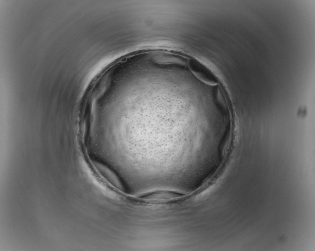 X0000113560989200910091411