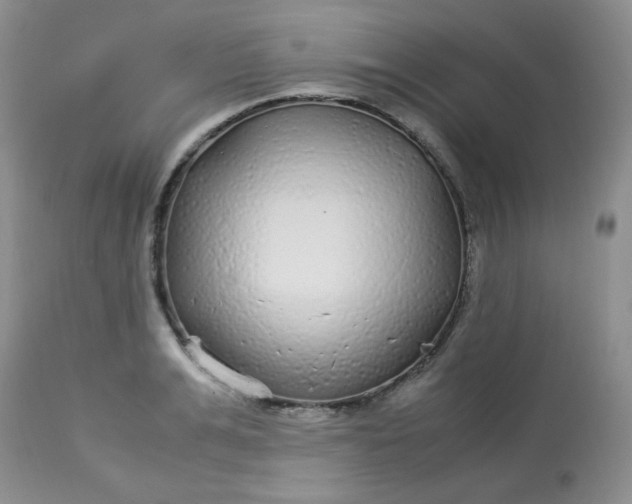 X0000113560991200910091411