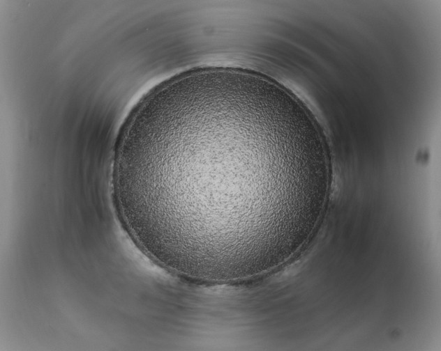 X0000113560992200910091411