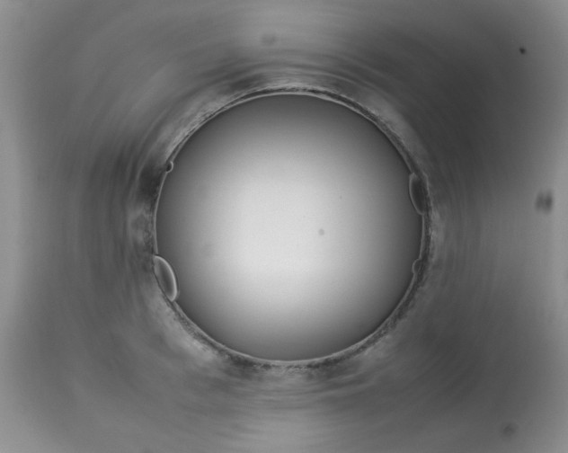 X0000113560993200910091411